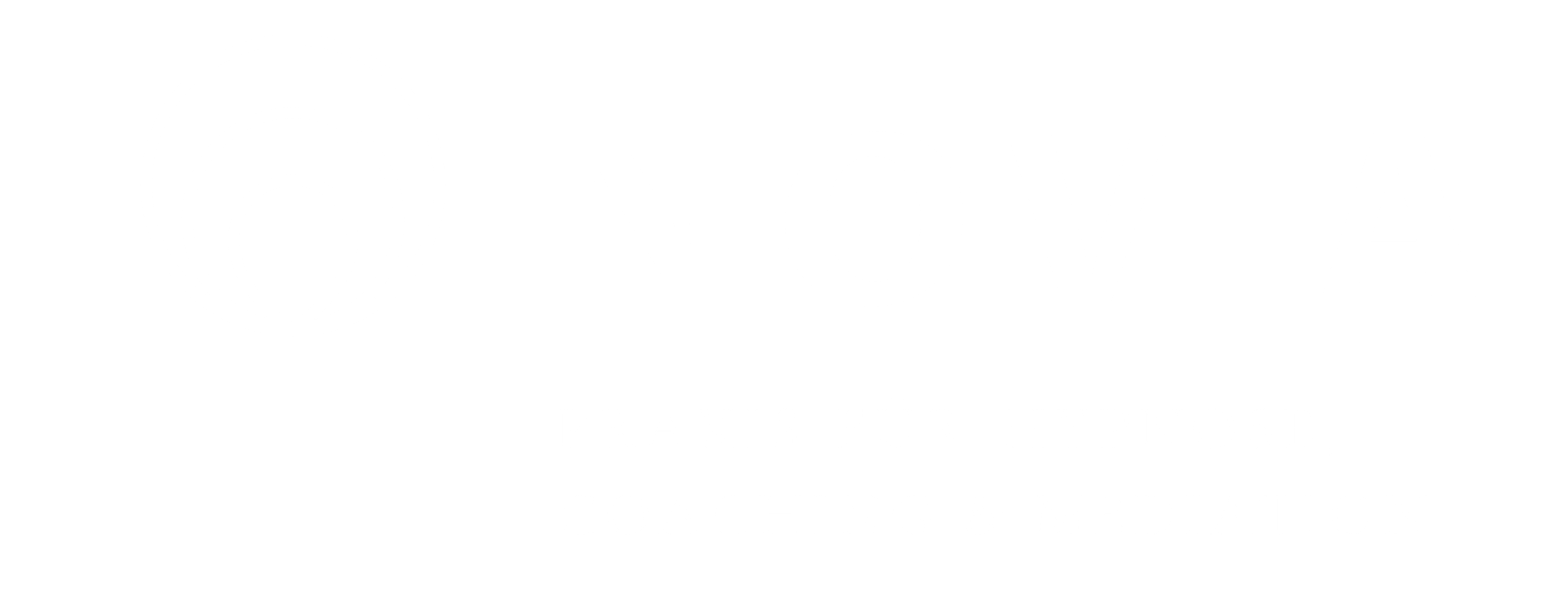 Logo NOVIA white